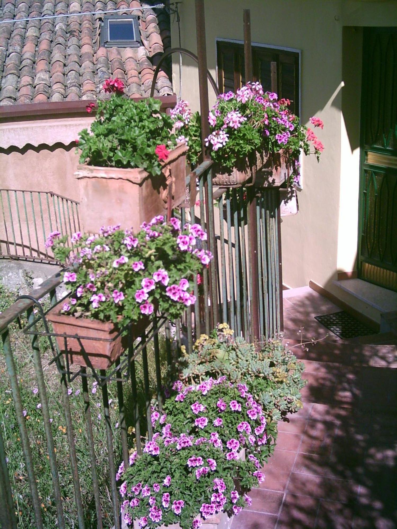 B&B U Palmentu Taormina Eksteriør billede